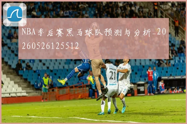 NBA季后赛黑马球队预测与分析_20260526125512